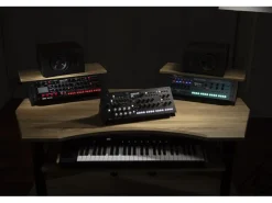 Korg Synthesizer wavestate Module