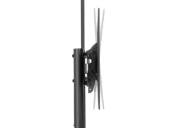 NEOMOUNTS TV-Trolley FL50-550BL1 bis 50 kg – Schwarz