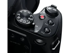 Panasonic Fotokamera DC-FZ82D