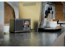 Pure DAB+ Radio Classic H4i Schwarz/Esche Schwarz