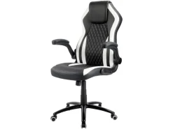 Racing Chairs Gaming-Stuhl CL-RC-BW-2 Schwarz/Weiss