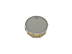 Remo Ambassador Renaissance 16"