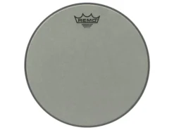 Remo Ambassador Renaissance 16