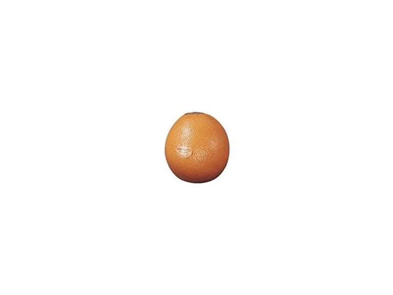 Remo Fruit Shaker Orange