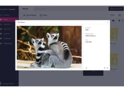 revolutionSCREEN Digital Signage Software revolutionScreen Enterprise 1 Jahr
