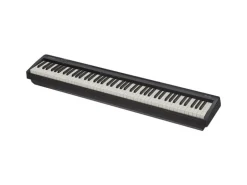Roland E-Piano FP-10