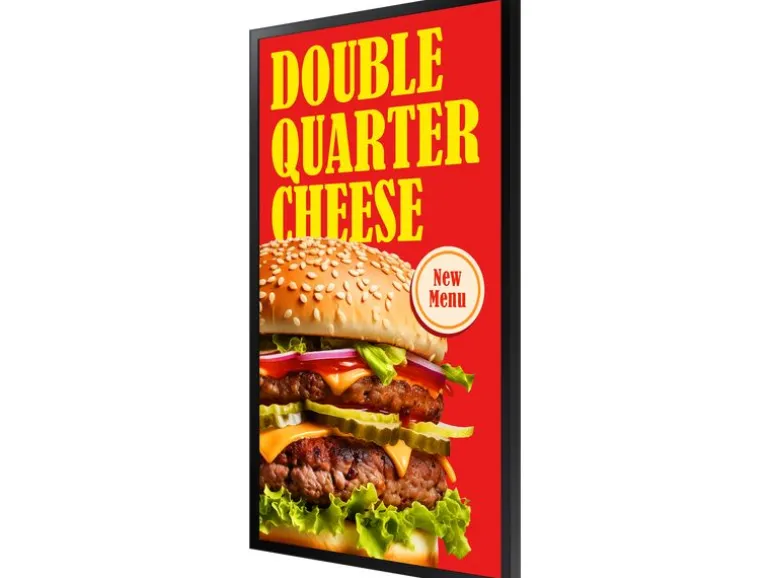 Samsung Public Display Outdoor OH55DX 55 "