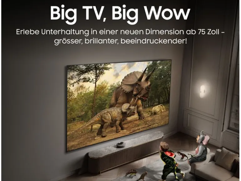 Samsung TV QE77S95F 77'' S95F OLED 4K AI TV, 2025
