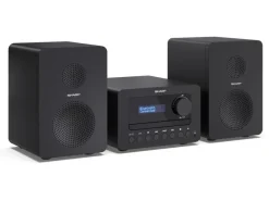 Sharp Micro-HiFi Anlage XL-B520D – Schwarz