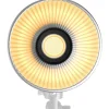 Smallrig Dauerlicht RC 100B COB Standard