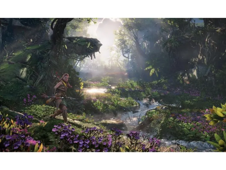 Sony Horizon Forbidden West (Box)