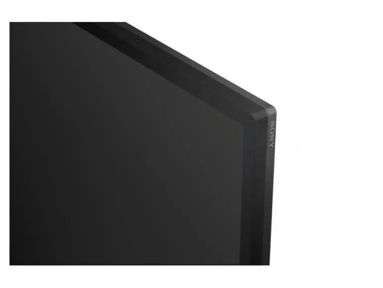 Sony Public Display FW-65BZ30L 65 "