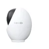 TP-Link Netzwerkkamera Tapo C260