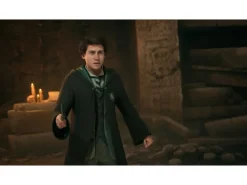 Warner Bros. Interactive Hogwarts Legacy